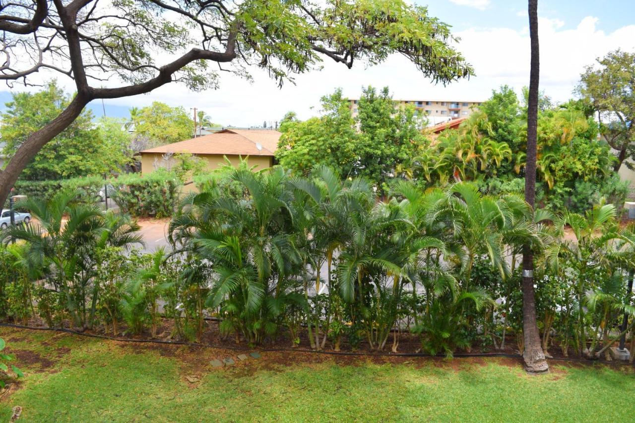 Beautiful Private Condo Walking Distance To Beach Mv2321 Kihei Extérieur photo